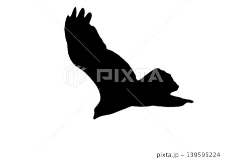 Raptor Silhouette icon isolated white background Raptor Silhouette icon isolated white background 139595224