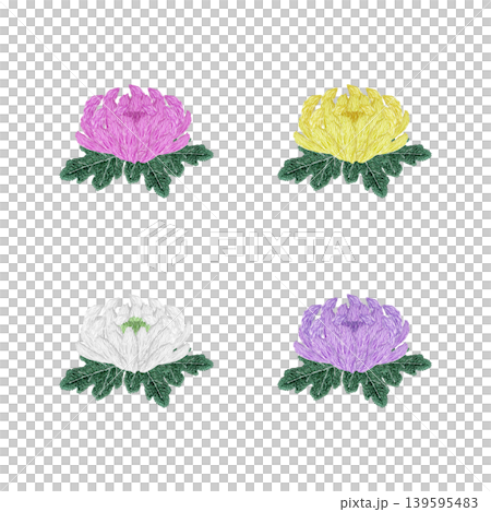 【菊の花のセット】手刺繍イラスト素材 139595483