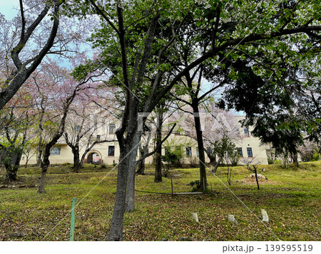 京都大学阿武山測候所構内 京都大学阿武山測候所構内 139595519