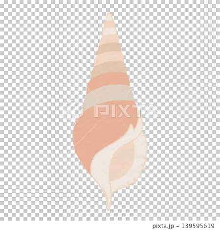 巻き貝のベクターイラスト 139595619