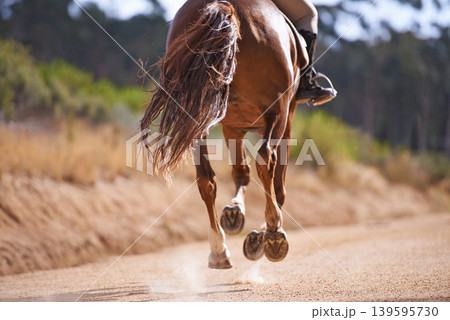 Person, horse and running for horseback riding in texas, countryside and sport training. Farm, rural and nature in outdoor, adventure and animal livestock with jockey, pet care and dirt road Person, horse and running for horseback riding in texas, countryside and sport training. Farm, rural and nature in outdoor, adventure and animal livestock with jockey, pet care and dirt road 139595730