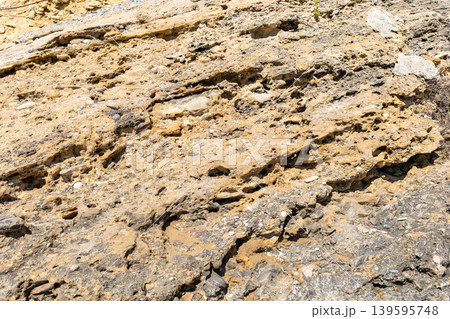 Textured rock surface with layers and natural patterns in sunlight 139595748