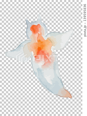 Watercolor-style illustration of a sea angel (Clione) Watercolor-style illustration of a sea angel (Clione) 139595836