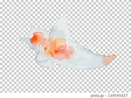 水彩風格的海天使（克里奧內）插圖 139595837