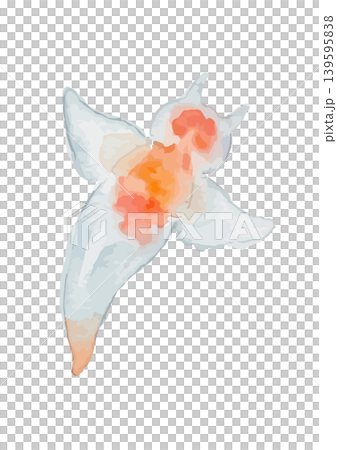 水彩風のクリオネのイラスト 139595838