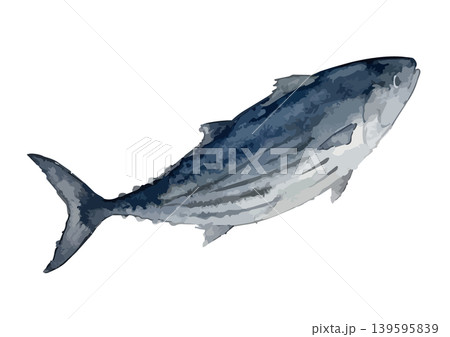 水彩風のカツオのイラスト 139595839