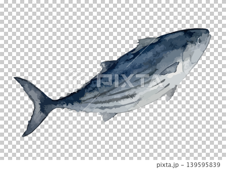 水彩風のカツオのイラスト 139595839