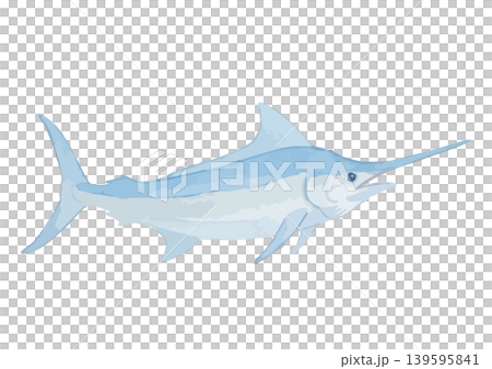 水彩風のカジキのイラスト 水彩風のカジキのイラスト 139595841