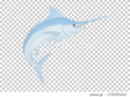 Watercolor-style illustration of a marlin Watercolor-style illustration of a marlin 139595842