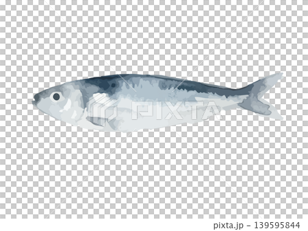 Watercolor-style illustration of a sardine Watercolor-style illustration of a sardine 139595844