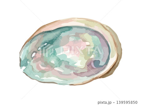水彩風のアワビのイラスト 139595850