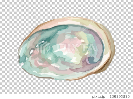 水彩風のアワビのイラスト 139595850