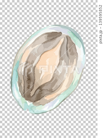 水彩風のアワビのイラスト 139595852