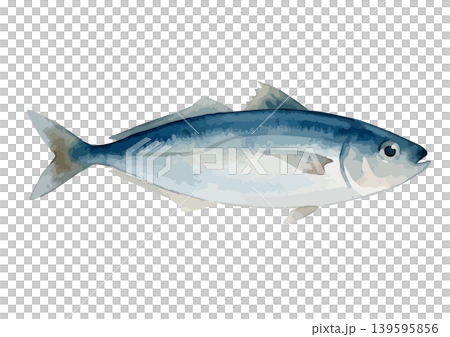 水彩風格的竹莢魚插圖 水彩風格的竹莢魚插圖 139595856