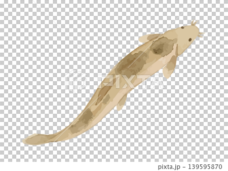 水彩風のどじょうのイラスト 139595870