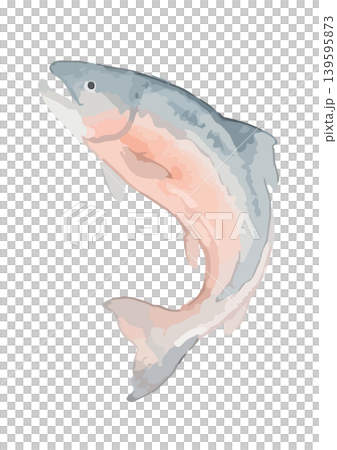 水彩風格的鮭魚插圖 水彩風格的鮭魚插圖 139595873
