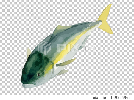 Watercolor-style illustration of a yellowtail Watercolor-style illustration of a yellowtail 139595962