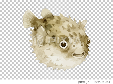 水彩風格的河豚插圖 水彩風格的河豚插圖 139595963