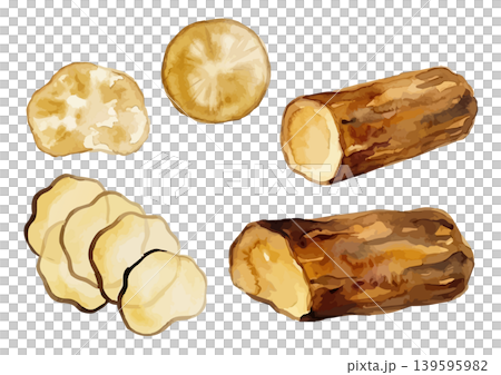 水彩風格的煙燻醃蘿蔔(iburigakko)插圖 水彩風格的煙燻醃蘿蔔(iburigakko)插圖 139595982