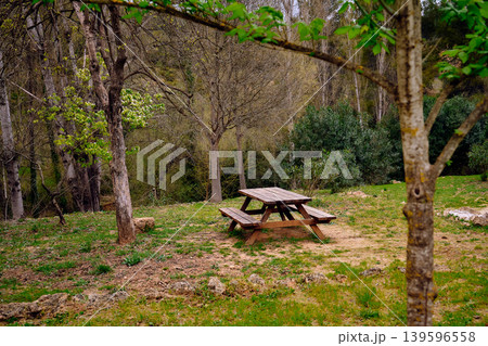 Outdoors picnic area wooden table Outdoors picnic area wooden table 139596558