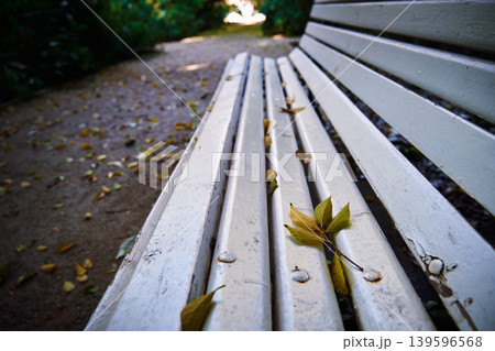 Yellow leaves on a park bench Yellow leaves on a park bench 139596568