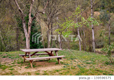 Outdoors picnic area wooden table Outdoors picnic area wooden table 139596575