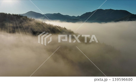 Sun rays shining through foggy forest in mountains Sun rays shining through foggy forest in mountains 139596680