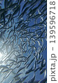 Underwater view of shoal sardine fish in sea 139596718