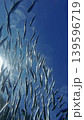 Underwater view of shoal sardine fish in sea 139596719