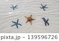 Starfish under water on sand beach 139596726