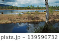 Bog lake landscape with forest under sky with clouds 139596732