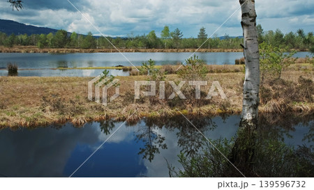 Bog lake landscape with forest under sky with clouds Bog lake landscape with forest under sky with clouds 139596732