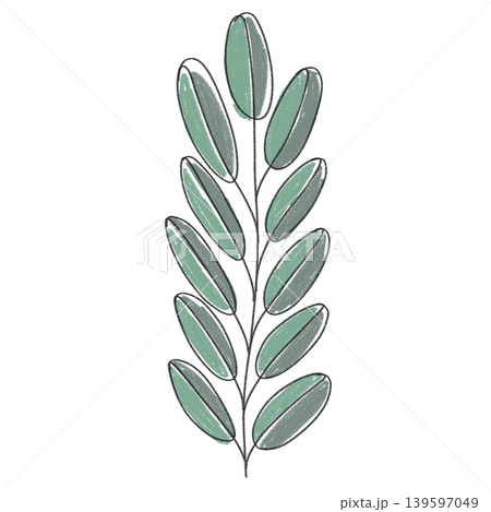 Oval leaves on a branch are decorative Oval leaves on a branch are decorative 139597049