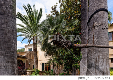 Jardins d'Alfabia - Majorca - Spain 139597364