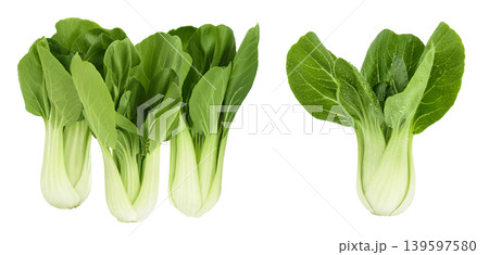 Fresh pak choi cabbage isolated on white background with full depth of field Fresh pak choi cabbage isolated on white background with full depth of field 139597580