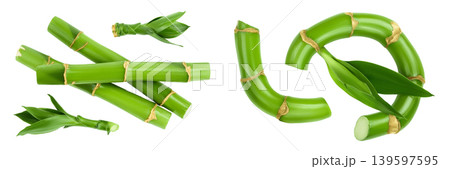 Green bamboo with leaves isolated on white background with full depth of field. Top view. Flat lay 139597595
