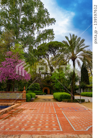 Colorful Tiled Path in Lush Seville Park with Spring Blossoms Colorful Tiled Path in Lush Seville Park with Spring Blossoms 139597612