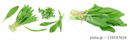 Ramson leaves isolated on white background with full depth of field, Top view with copy space for your text. Flat lay Ramson leaves isolated on white background with full depth of field, Top view with copy space for your text. Flat lay 139597626