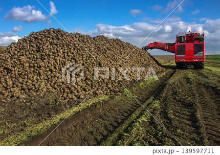 beet harvester, for digging root crops and forming them into large piles beet harvester, for digging root crops and forming them into large piles 139597711