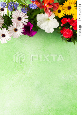 A beautiful array of spring flowers in various colors adorns a balcony, bringing life and brightness to the outdoor area. The flowers add joy and warmth to the setting A beautiful array of spring flowers in various colors adorns a balcony, bringing life and brightness to the outdoor area. The flowers add joy and warmth to the setting 139598214