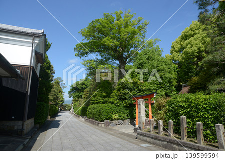 城南宮 石鳥居からの参道 京都市伏見区中島鳥羽離宮町 城南宮 石鳥居からの参道 京都市伏見区中島鳥羽離宮町 139599594