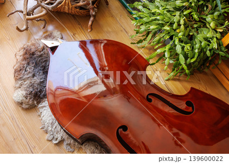 Close up of a damaged contrabass body with broken neck lying on the floor 139600022