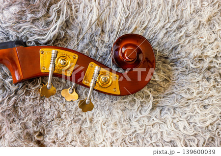 Contrabass headstock with scroll, pegbox, tuning keys, nuts, pegs and brass plates lying on the felted wool locks rug. Close up 139600039