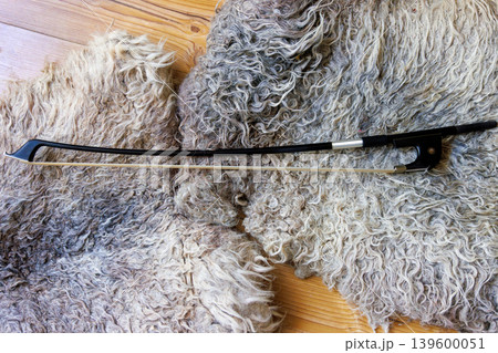 Top view of a contrabass bow lying on a felted sheep wool locks rug on a wooden floor. Top view of a contrabass bow lying on a felted sheep wool locks rug on a wooden floor. 139600051