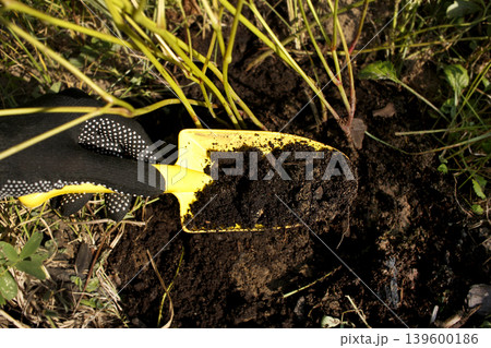 Garden seed green manure fertilizer manures compost. Hand with a shovel Garden seed green manure fertilizer manures compost. Hand with a shovel 139600186