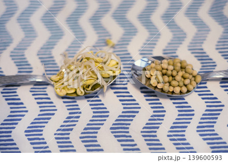 Soybean sprout is a culinary vegetable grown by sprouting soybeans. Soybean sprout is a culinary vegetable grown by sprouting soybeans. 139600593