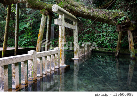 【鹿島神宮】澄んだ池に浮かんで見える鳥居 【鹿島神宮】澄んだ池に浮かんで見える鳥居 139600989