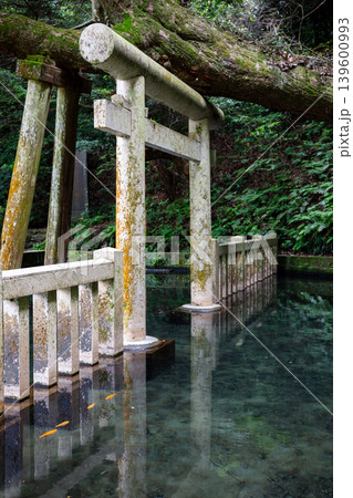 【鹿島神宮】澄んだ池に浮かんで見える鳥居 139600993