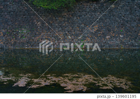 Tokyo, Japan - Oct 1 2024, A panoramic view of the Tokyo Imperial Palace's fortress wall extending into the calm waters of moat, in the evening, Tokyo, Japan Tokyo, Japan - Oct 1 2024, A panoramic view of the Tokyo Imperial Palace's fortress wall extending into the calm waters of moat, in the evening, Tokyo, Japan 139601195