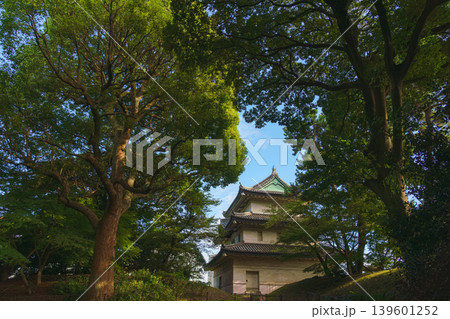 Tokyo, Japan - Oct 01 2024, panoramic view of the Fujimi-yagura watchtower surrounded by tree foliage, against the blue sky, part of the Tokyo Imperial Palace, Tokyo, Japan Tokyo, Japan - Oct 01 2024, panoramic view of the Fujimi-yagura watchtower surrounded by tree foliage, against the blue sky, part of the Tokyo Imperial Palace, Tokyo, Japan 139601252